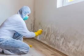 Reliable Nichols Hills, OK Mold Removal Services Solutions