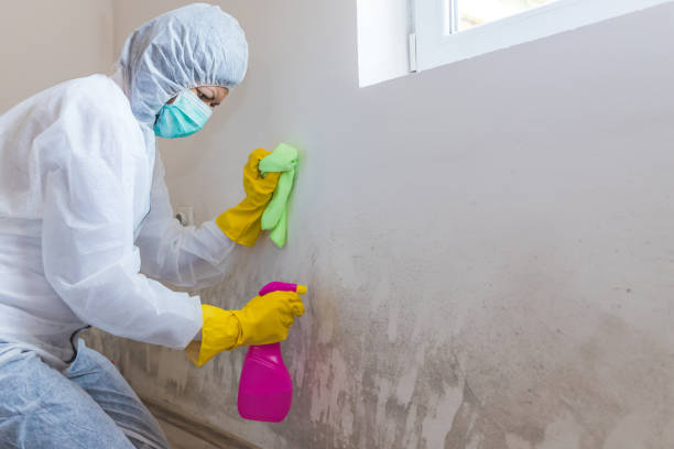 Best Biohazard Mold Removal  in Nichols Hills, OK